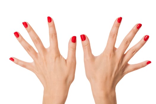 Women's hands with beautiful well-groomed fingers and red nail polish wellness beauty spa close up isolated on white background