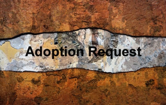 Adoption request grunge concept