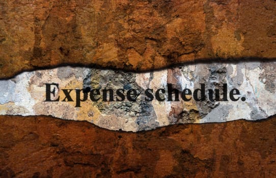 Expense schedule grunge concept