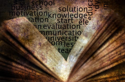 Book and knowledge grunge  concept