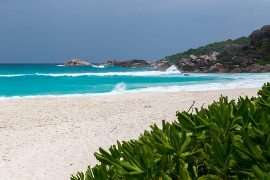 White sand on the beach and waves a lot of green plants and rocks