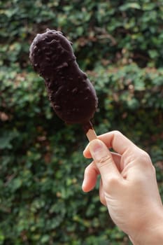 Ice cream covered with chocolate and nuts, stock photo
