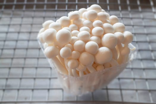 Raw shimeji mushroom for asian cuisine, stock photo