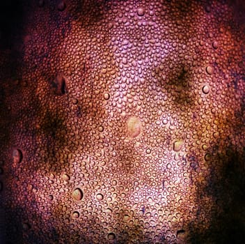 Bubbles on grunge background