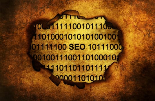 SEO data on paper hole
