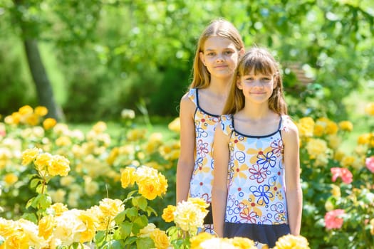 Two girls stand in a beautiful flower garden of roses