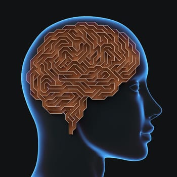 Brain shaped maze with clipping path included. Conceptual image of science and medicine. 3D illustration.