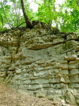 Jura limestone shifts of the Swabian Alb in Germany