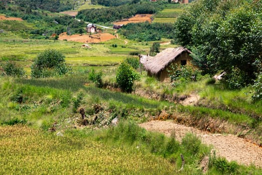The Landscape shots of green fields and landscapes on the island of Madagascar