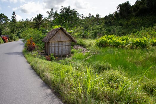 A landscape pictures of the country of Madagascar, with mountains and meadows