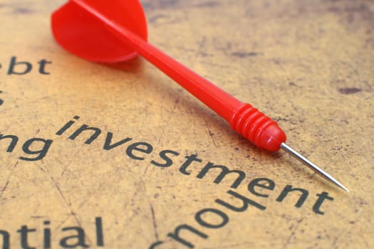 Investment target