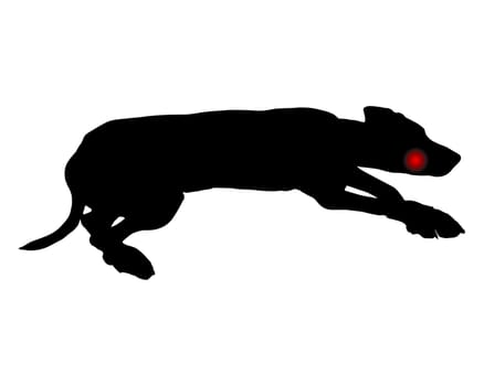 Hund mit Zahnschmerzen
