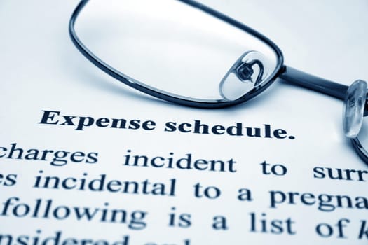 Expense schedule