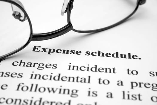 Expense schedule