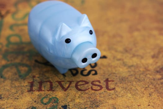 Invest and piggy bank concept