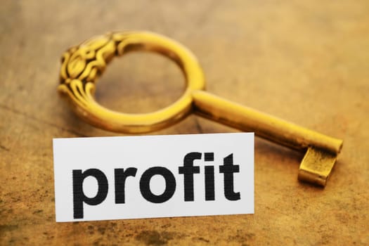 Profit concept