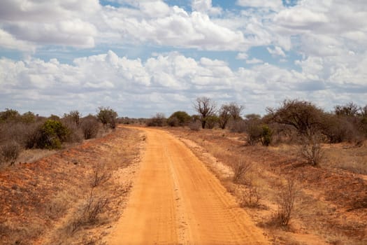 Red soil way through the savannah, on safari in Kenya