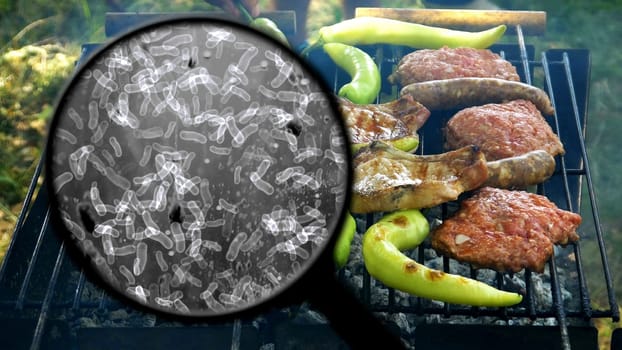 Searching for bacteria on BBQ meat