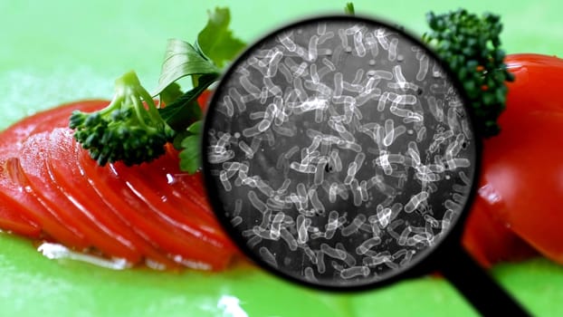 Search for bacteria in food