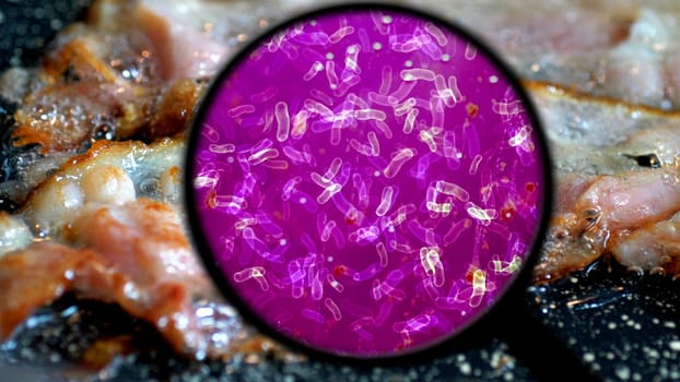 Searching for bacteria on BBQ meat