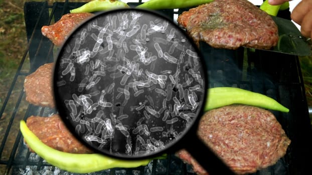 Searching for bacteria on BBQ meat