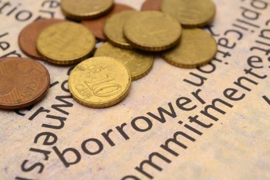 Borrower
