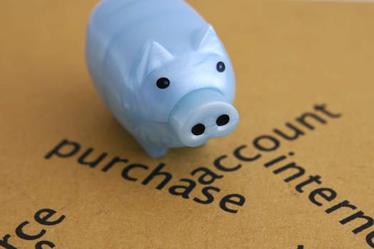 Piggy bank on purchase