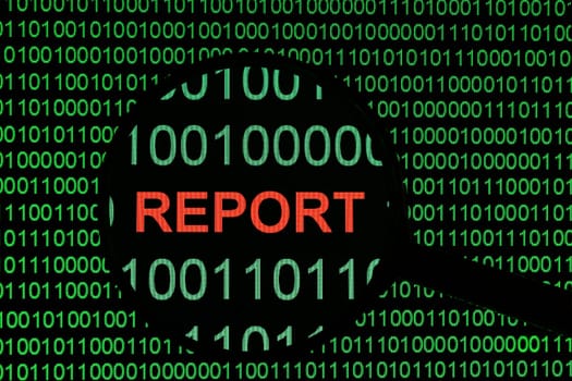 Report