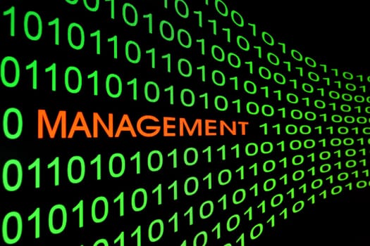 Management