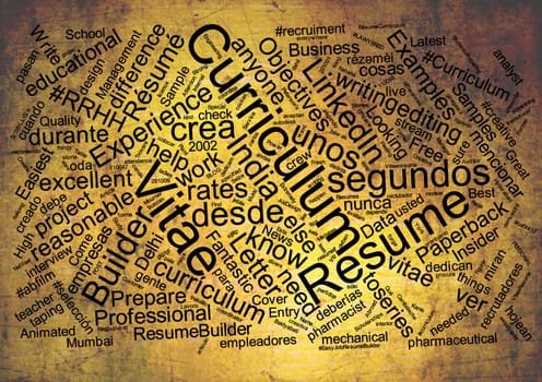 Curriculum vitae word cloud