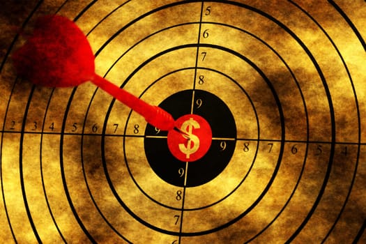 Dollar target grunge concept