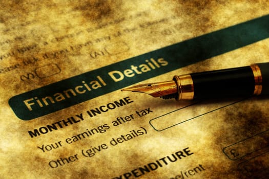 FInancial details on credit form
