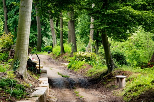 Path in the old green park. Beautiful peaceful Landscape. Preety scenic view of amazing Polish nature. Beautiful green summer forest. Park scenery with a mystery alley .