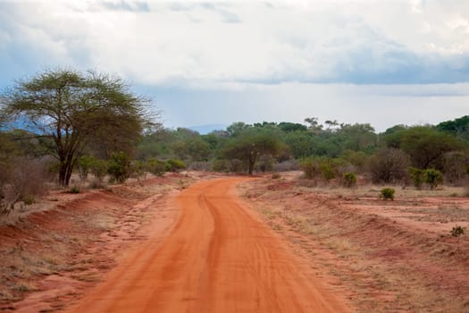 Landscape with a red way through the savannah of Kenya