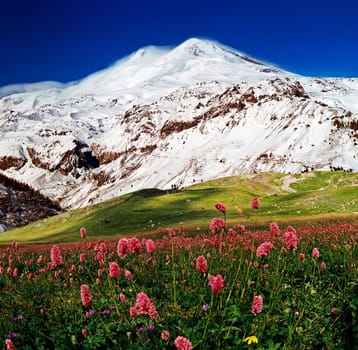 The highest peak in Europe is Mount Elbrus,altitude 5642 meters..