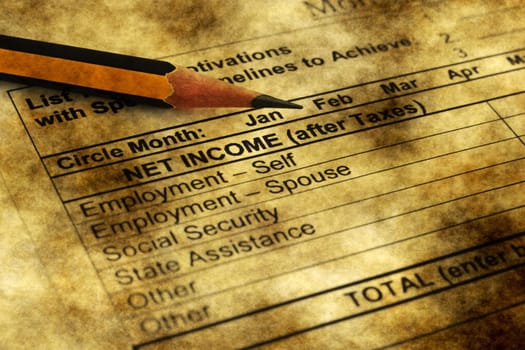 Monthly budget plan
