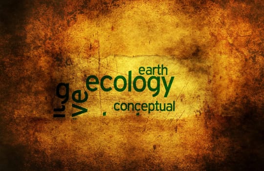 Ecology earth grunge concept