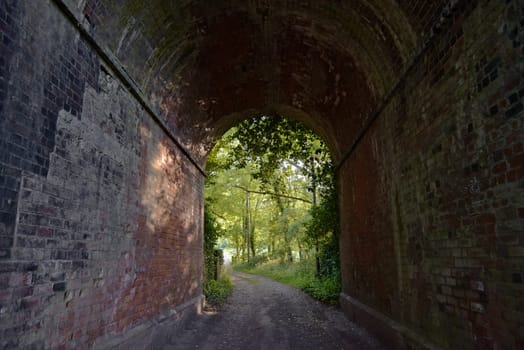 Old red and purple brick tunnel contains a muddy double-track lane that opens out into deciduous forest greenery, climbing plants and undergrowth.
