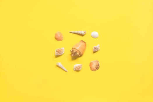 Summer flat lay. Top view. Shells of various kinds on a yellow background. Seashells on a pastel background. Vacation concept, empty space for text.