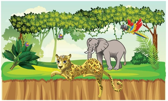 a view from nature in jungle with all wild animals