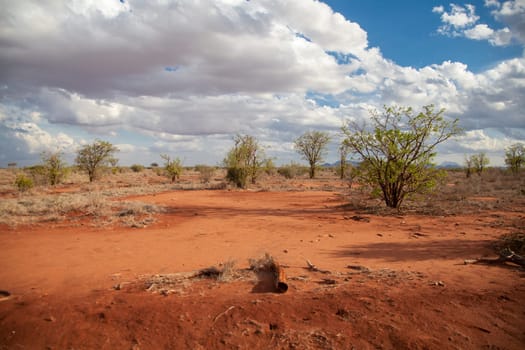 Scenery with red soil, on safari in Kenya