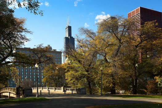 CHICAGO, ILLINOIS/USA-OCTOBER 15 2016: Grant Park Chicago with blue sky and fall leaves on October 15 2016, Chicago, Illinois