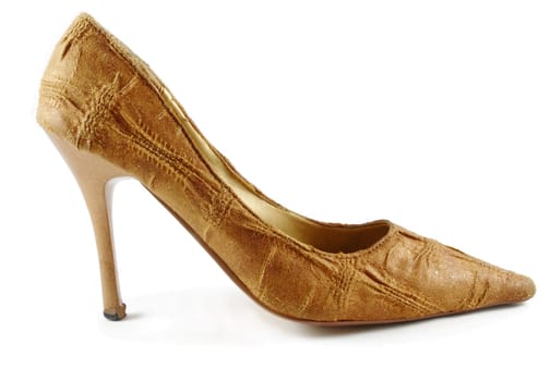 brown elegant lady shoe