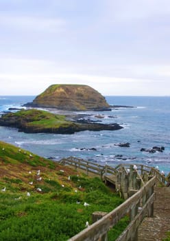 Australian coast at Phillip Island