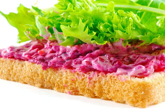 healthy sandwich with red cabbage