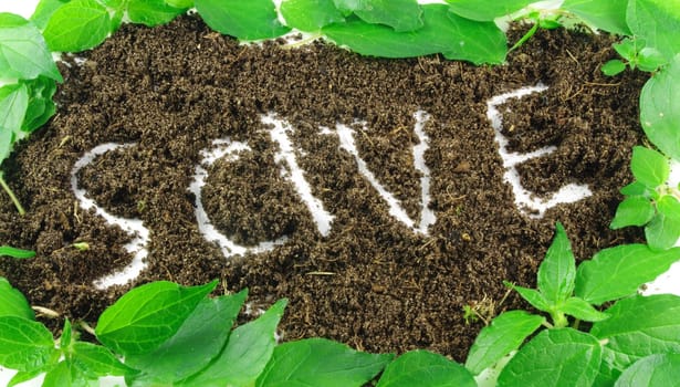 word save written on soil with leaves