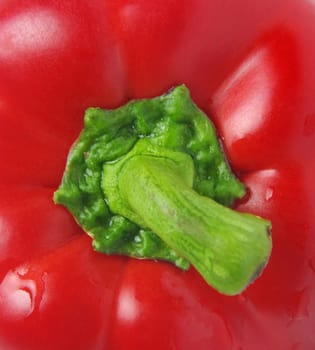 red capsicup extreme closeup as a background