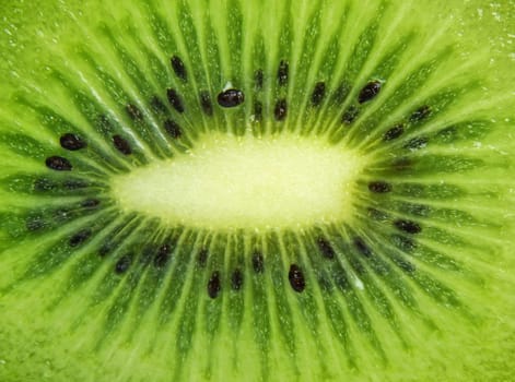 closeup of kiwi as a background