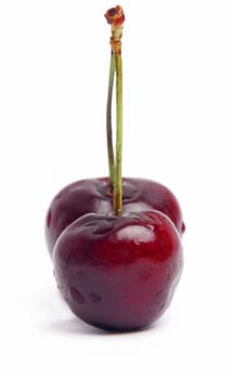 two fresh cherries isolated on white