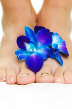 female legs with blue  flower